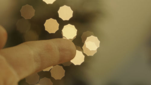 Close-up of hand holding leaf