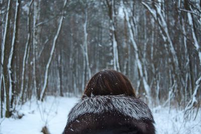 Rear view of horse on snow in forest