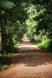 Footpath in park