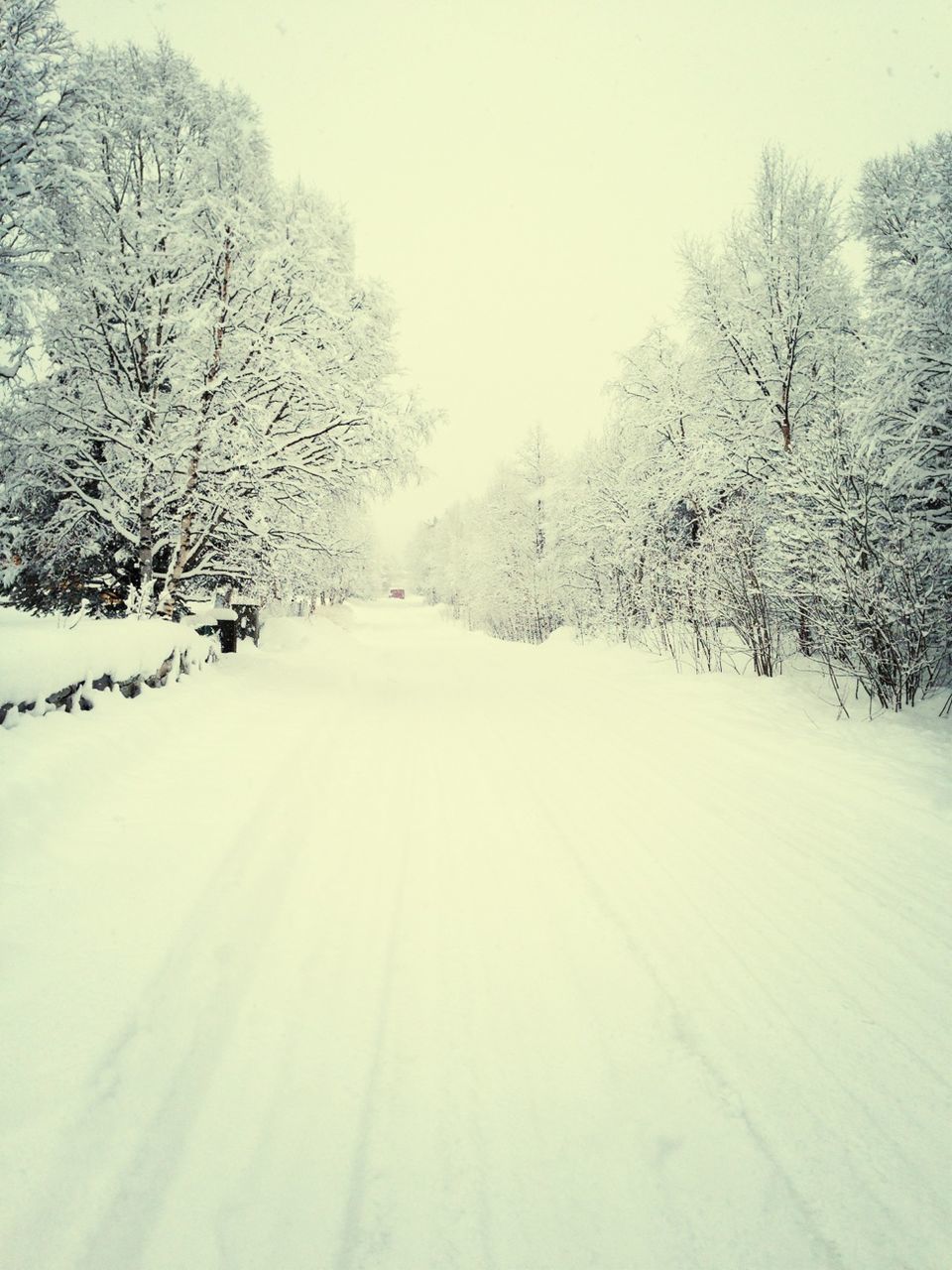 snow, winter, cold temperature, season, weather, covering, tranquil scene, tranquility, landscape, tree, scenics, beauty in nature, nature, white color, clear sky, snow covered, covered, frozen, non-urban scene, field