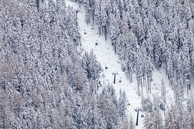 High angle view of snow covered trees on field