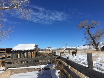 Wooden fence by snow covered field against sky