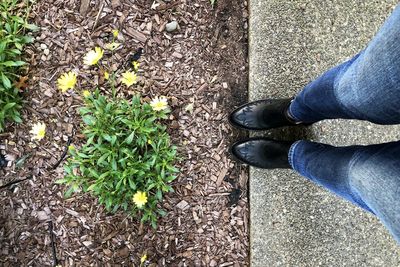 Low section of man standing by plants