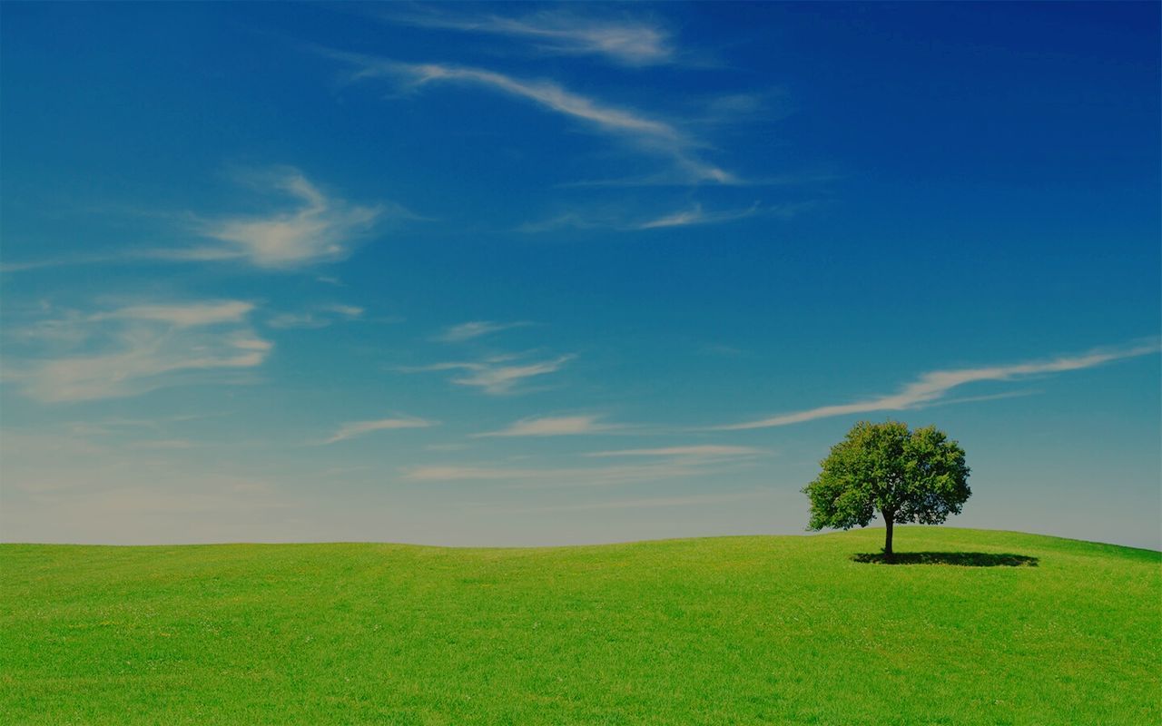 grass, blue, tranquility, tranquil scene, field, sky, landscape, green color, scenics, beauty in nature, nature, growth, tree, grassy, green, cloud, horizon over land, idyllic, cloud - sky, outdoors