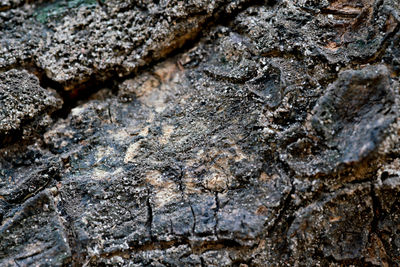 Detail shot of rocks