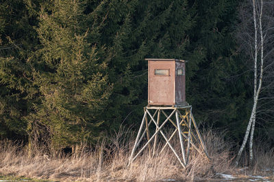 View of hut in forest