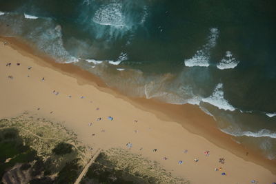 Beach from helicopter, sydney