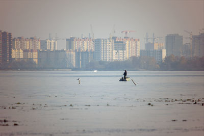 View of birds in city during winter