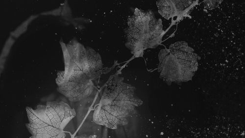 Double exposure of man and woman in water