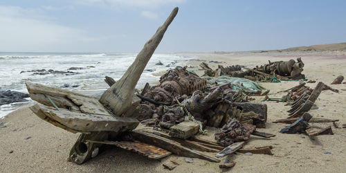 Driftwood on sand at beach against sky