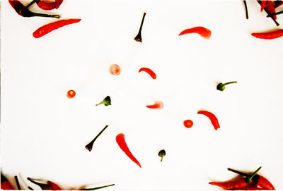 Low angle view of kites flying against clear sky