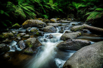 View of waterfall in forest