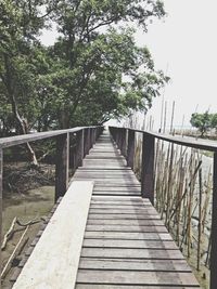 Footbridge over river