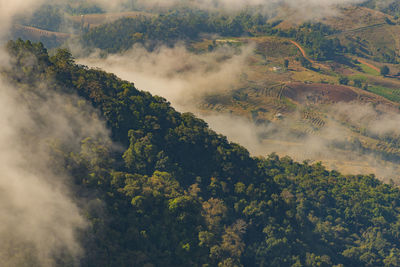 High angle view of trees on landscape