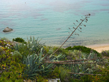 High angle view of sea shore