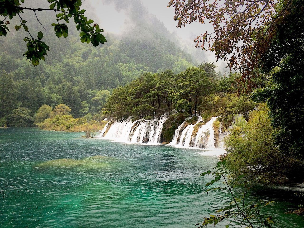 water, tree, scenics, beauty in nature, tranquil scene, tranquility, nature, waterfront, waterfall, river, idyllic, mountain, forest, sky, green color, growth, lake, non-urban scene, flowing water, flowing