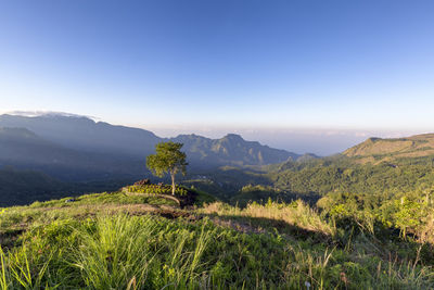 Scenic view of landscape against clear sky