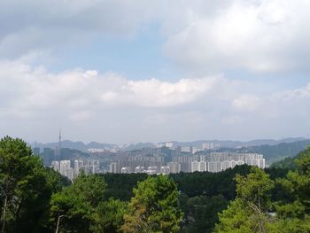 Trees and cityscape against sky