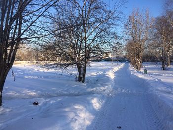 Bare trees on snow covered landscape