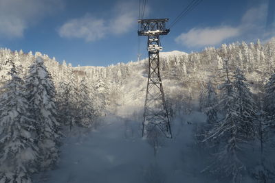 Snow covered trees on mountain against sky