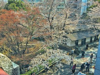 High angle view of people on tree during autumn