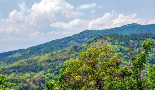 Scenic view of tree mountains against sky