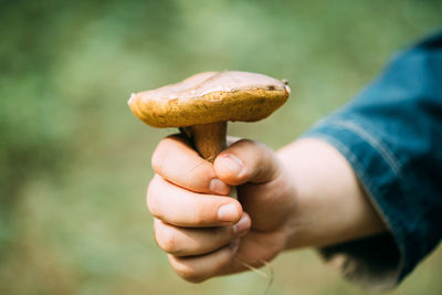 Close-up of hand holding mushroom