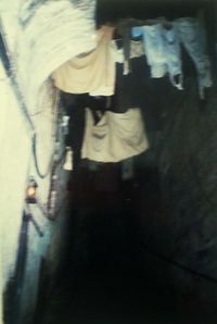 Close-up of woman standing in pond