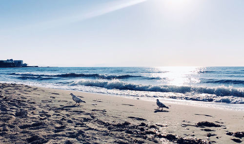 Scenic view of beach against clear sky