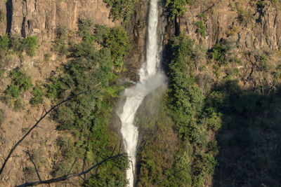 Scenic view of waterfall in forest