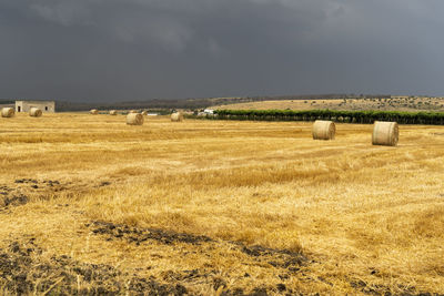 Hay bales on field against sky