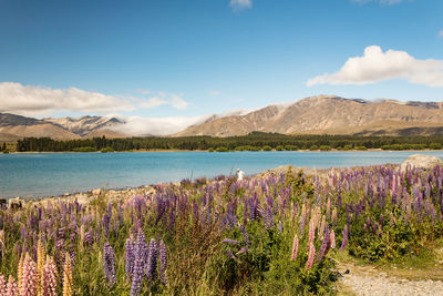 Scenic view of lake against cloudy sky