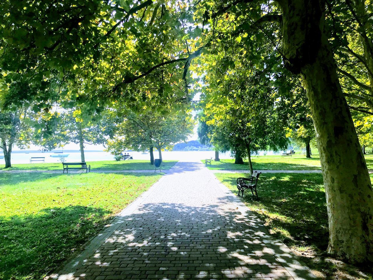 FOOTPATH IN PARK