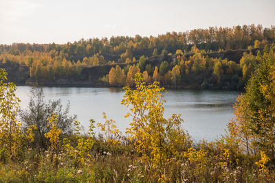 Scenic view of lake in forest during autumn