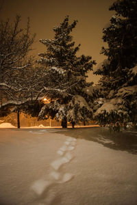 Snow covered road amidst trees against sky at night