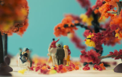 Close-up of orange fruits on plant