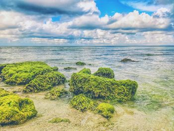 Scenic view of sea against sky