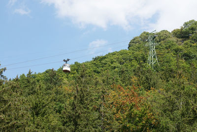 Scenic view of trees against blue sky