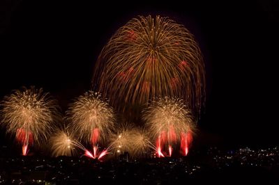 Firework display at night