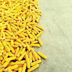 Close-up of corns on floor