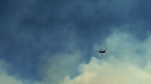 Low angle view of airplane flying in sky