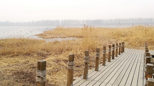 Scenic view of landscape against clear sky