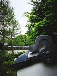 Vintage car by river in park