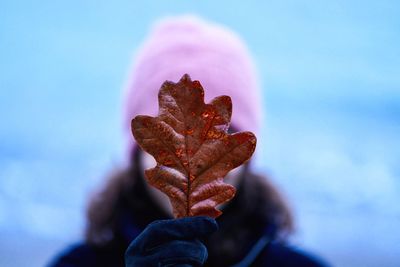 Close-up of woman covering face with leaf