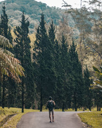 Rear view of woman walking on road amidst trees
