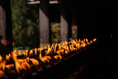 Close-up of lit candles at buddhist temple