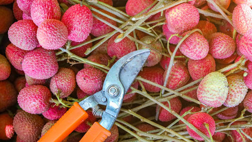 High angle view of strawberries in container