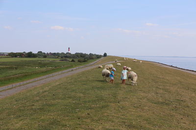 Children and sheep on field against sky