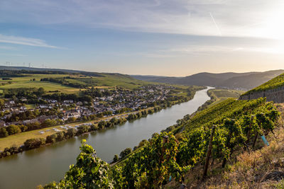 Panoramic view of the moselle valley with the wine village brauneberg in the background