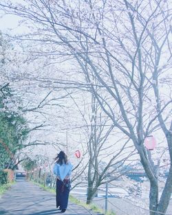 Side view of woman walking on snow covered bare trees